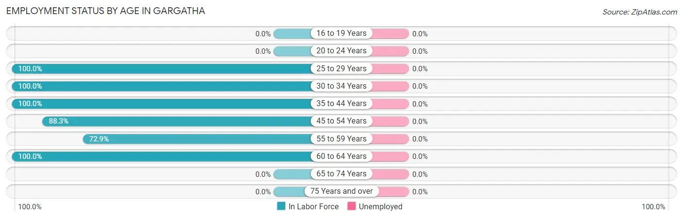 Employment Status by Age in Gargatha