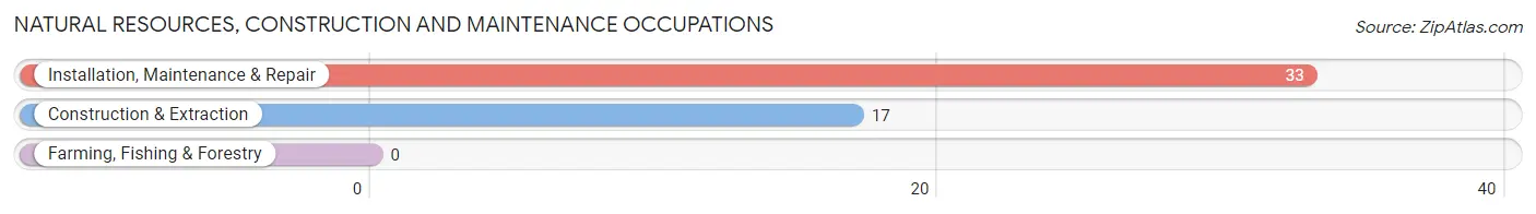 Natural Resources, Construction and Maintenance Occupations in Glasgow