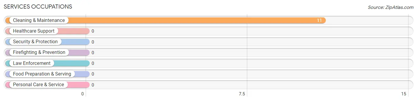 Services Occupations in Glenvar