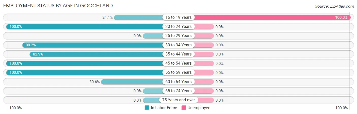 Employment Status by Age in Goochland