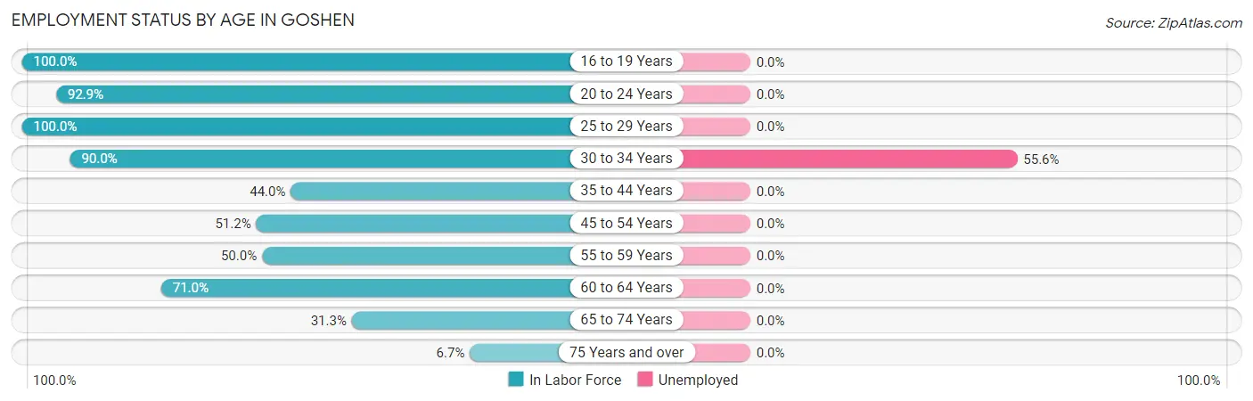 Employment Status by Age in Goshen