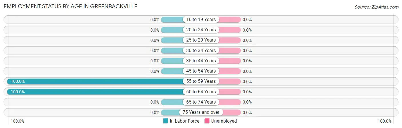 Employment Status by Age in Greenbackville