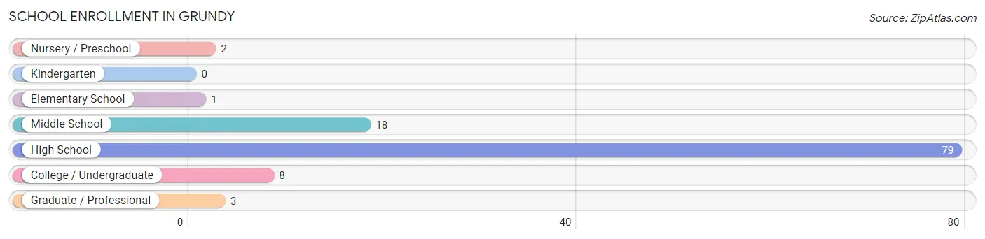 School Enrollment in Grundy