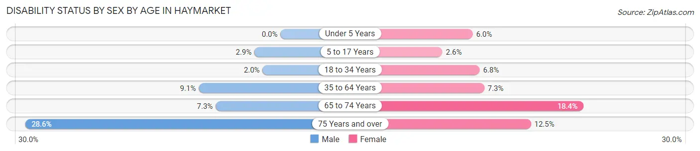 Disability Status by Sex by Age in Haymarket