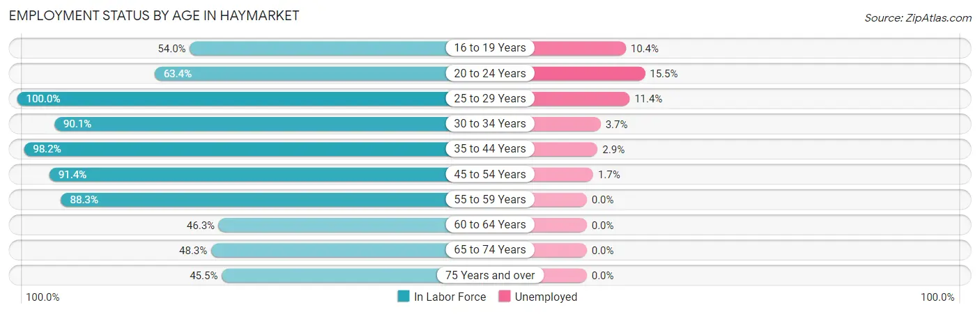 Employment Status by Age in Haymarket