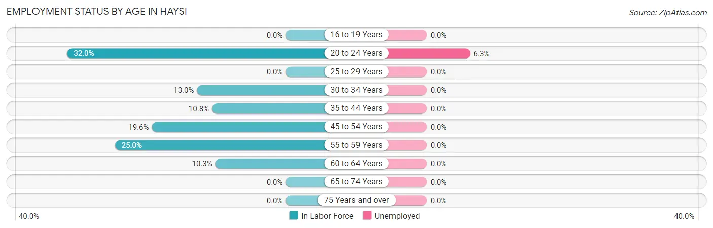 Employment Status by Age in Haysi
