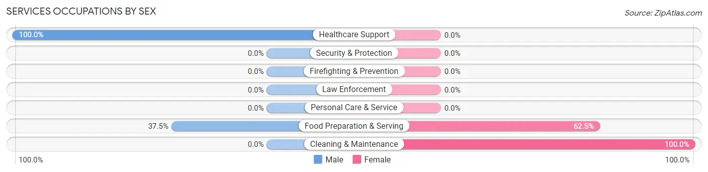 Services Occupations by Sex in Haysi
