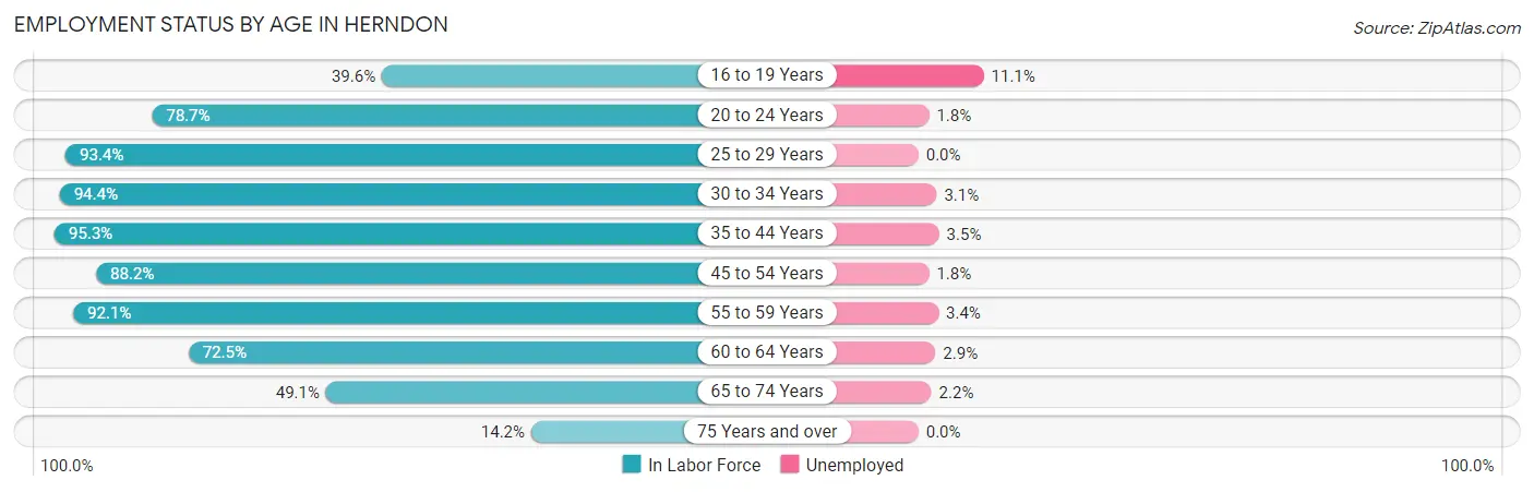 Employment Status by Age in Herndon