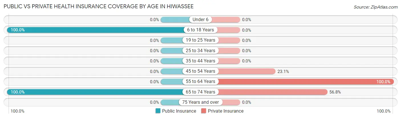 Public vs Private Health Insurance Coverage by Age in Hiwassee