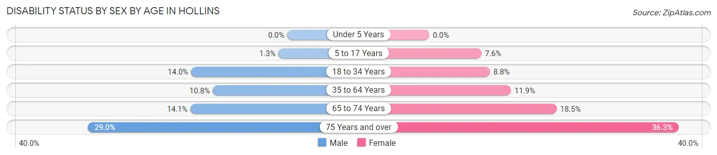 Disability Status by Sex by Age in Hollins