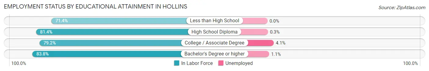 Employment Status by Educational Attainment in Hollins