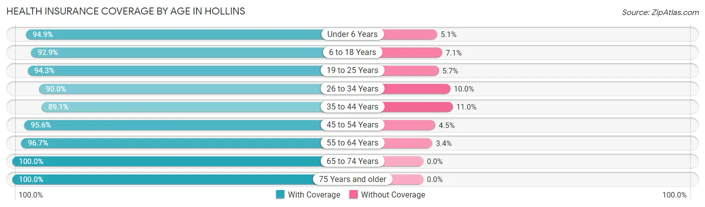 Health Insurance Coverage by Age in Hollins