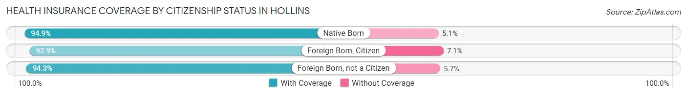 Health Insurance Coverage by Citizenship Status in Hollins