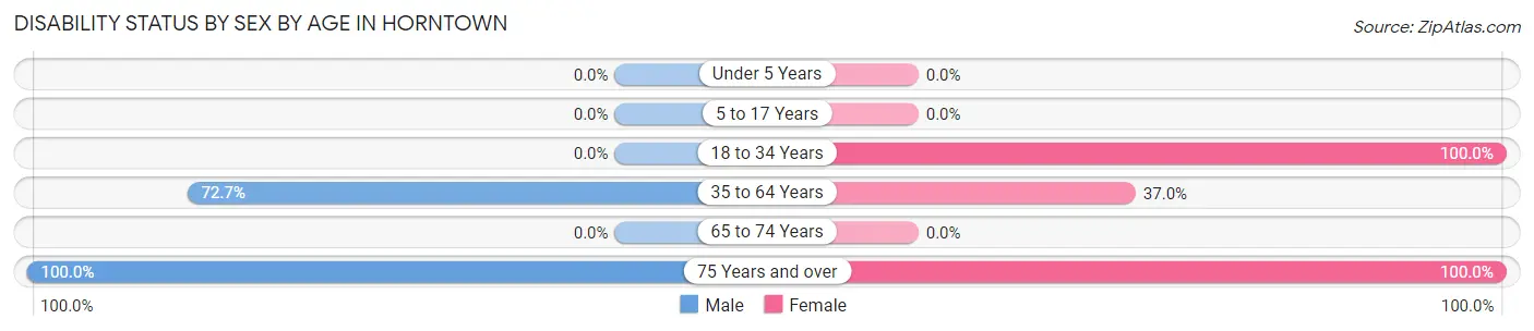 Disability Status by Sex by Age in Horntown