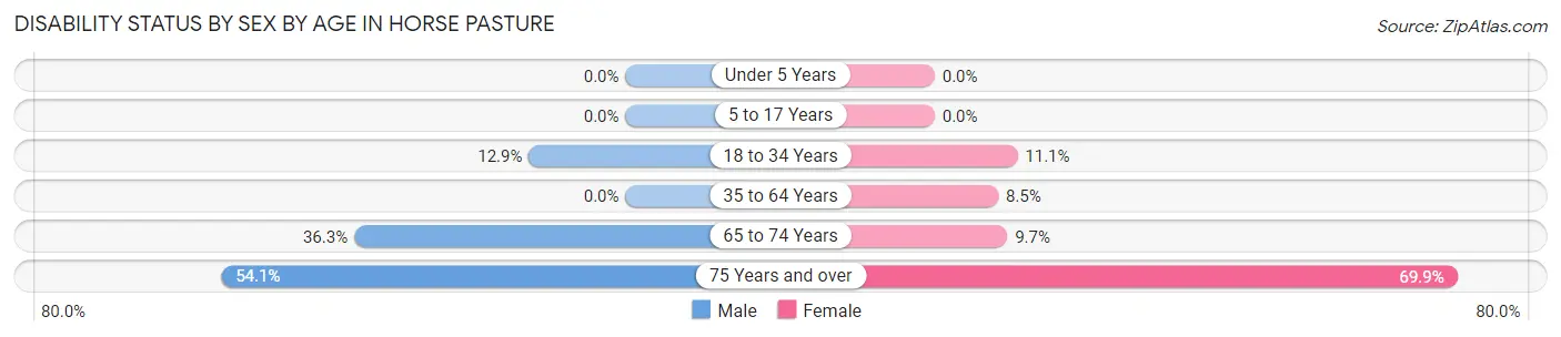 Disability Status by Sex by Age in Horse Pasture