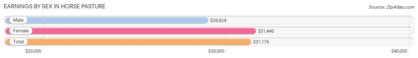 Earnings by Sex in Horse Pasture