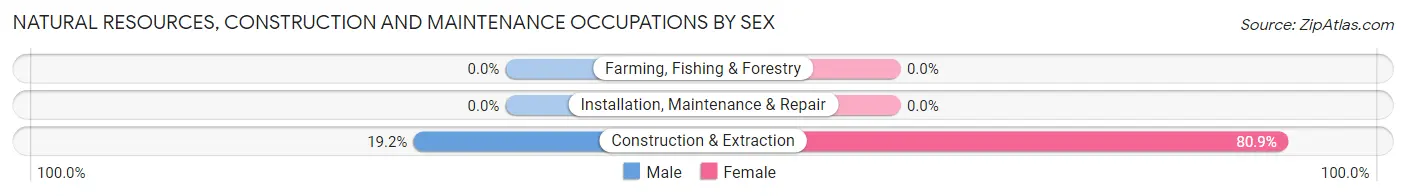 Natural Resources, Construction and Maintenance Occupations by Sex in Horse Pasture