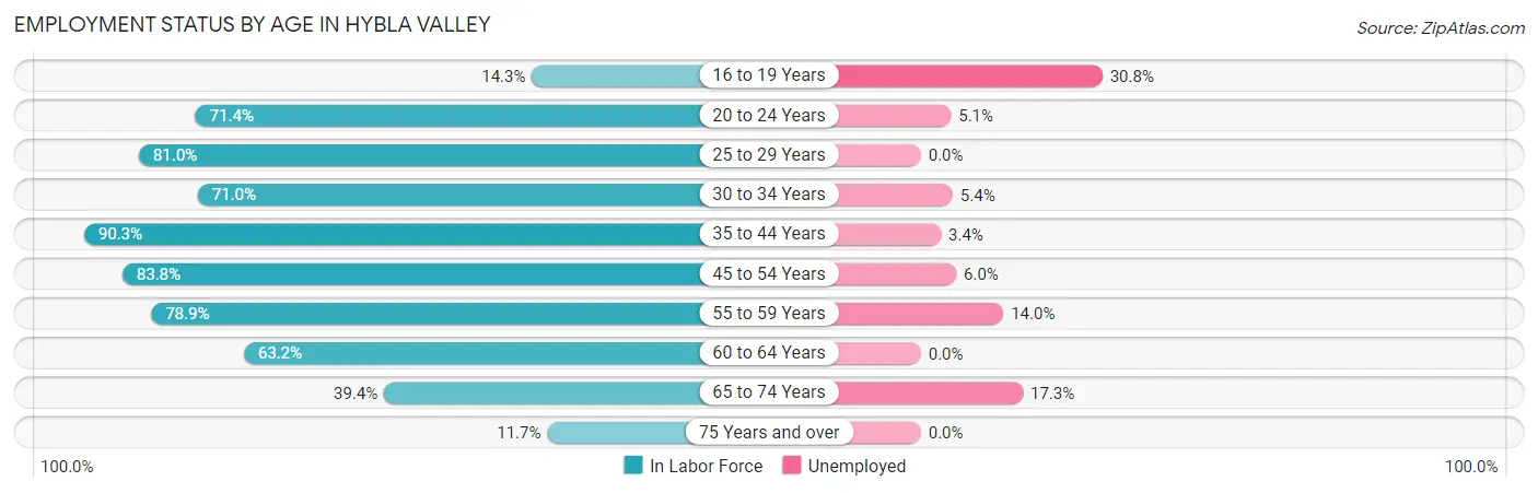 Employment Status by Age in Hybla Valley