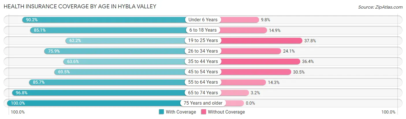 Health Insurance Coverage by Age in Hybla Valley