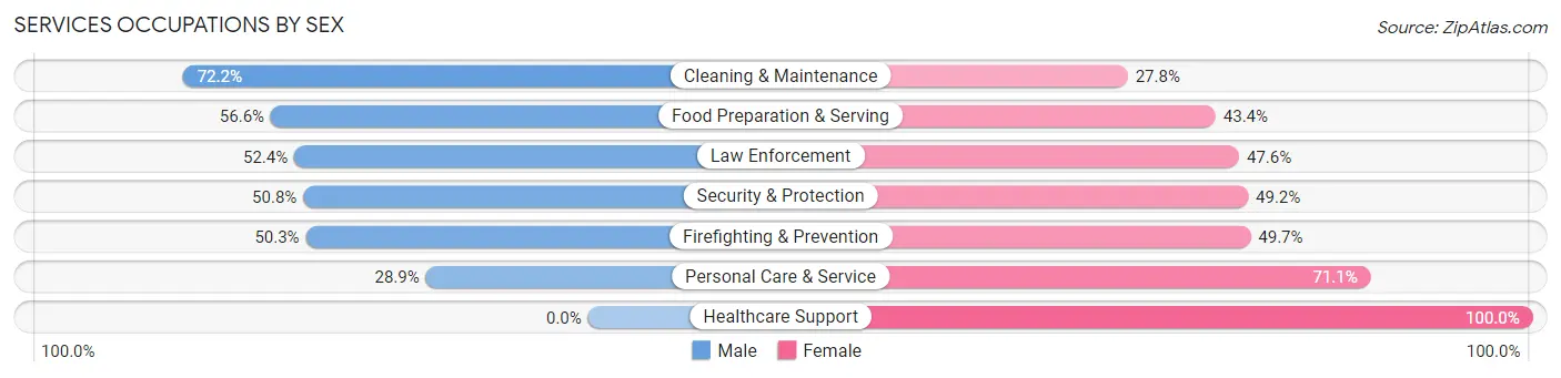Services Occupations by Sex in Idylwood