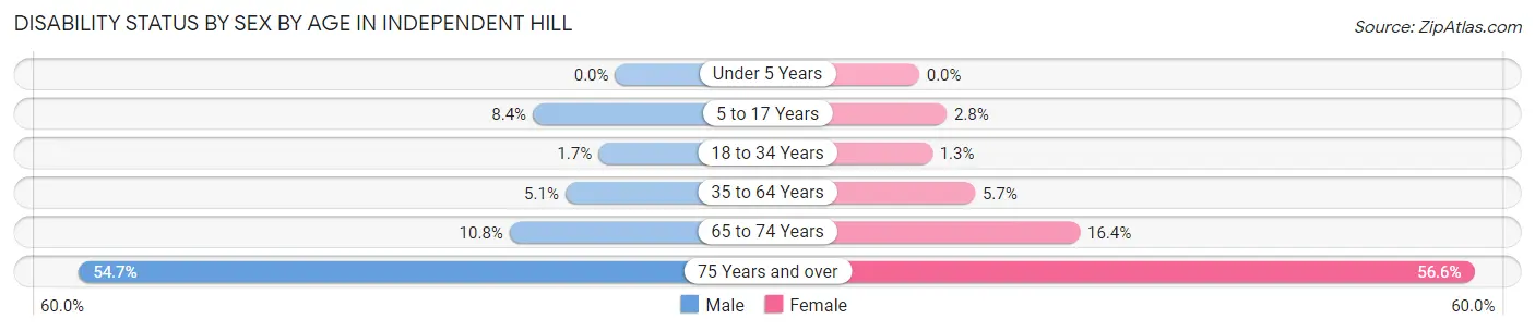Disability Status by Sex by Age in Independent Hill