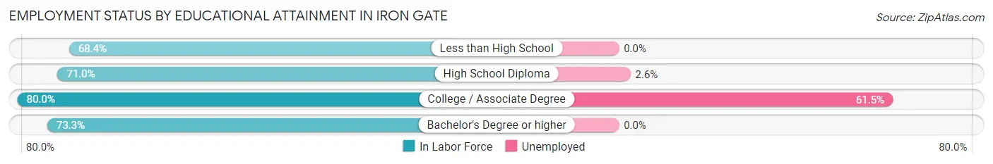 Employment Status by Educational Attainment in Iron Gate