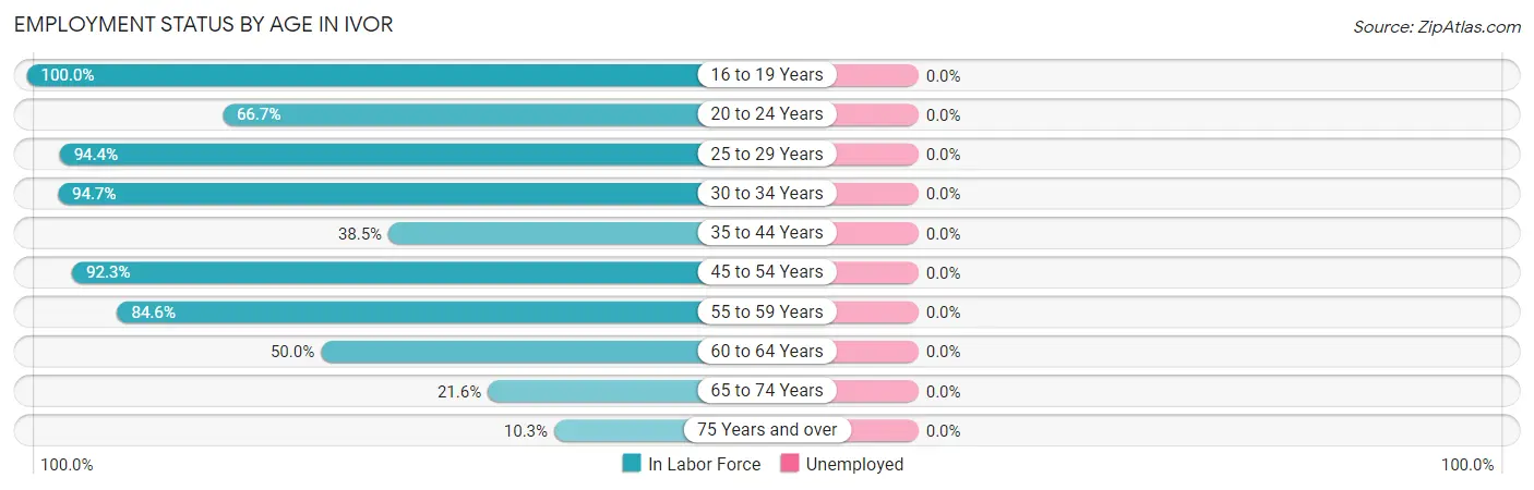 Employment Status by Age in Ivor