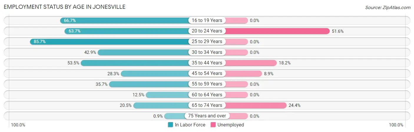 Employment Status by Age in Jonesville