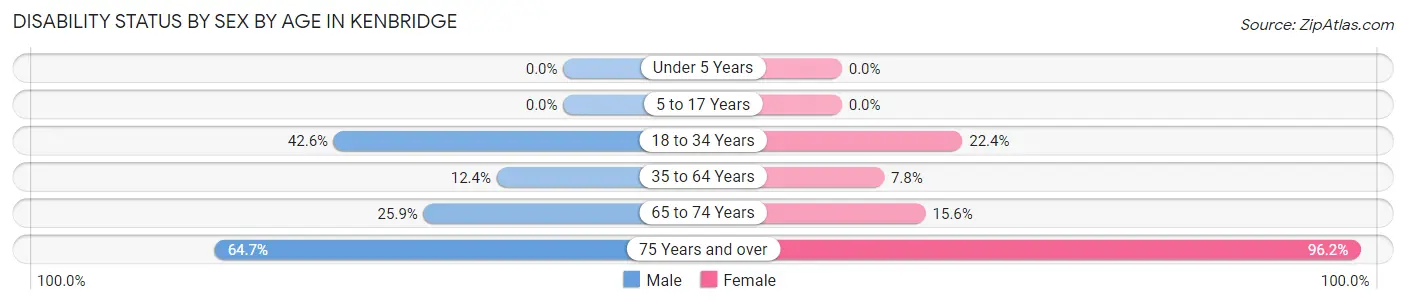 Disability Status by Sex by Age in Kenbridge