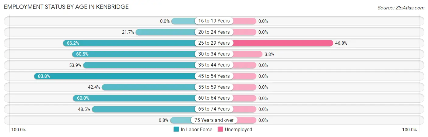 Employment Status by Age in Kenbridge