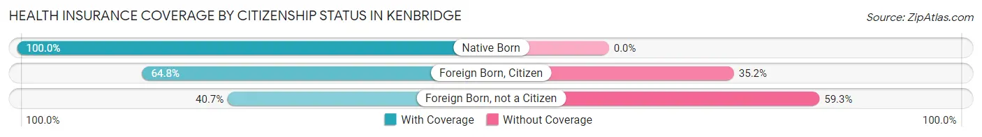 Health Insurance Coverage by Citizenship Status in Kenbridge