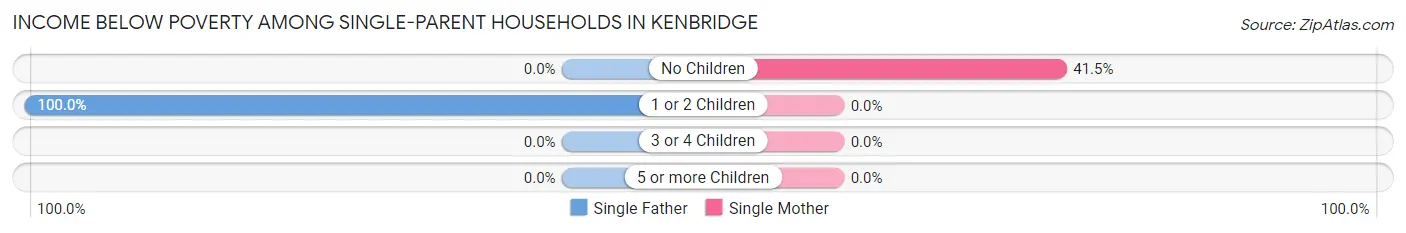 Income Below Poverty Among Single-Parent Households in Kenbridge