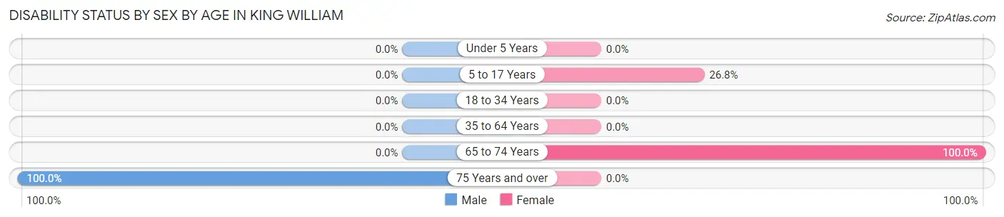 Disability Status by Sex by Age in King William