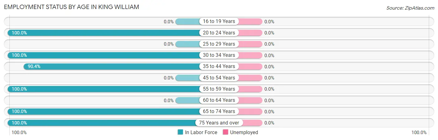 Employment Status by Age in King William