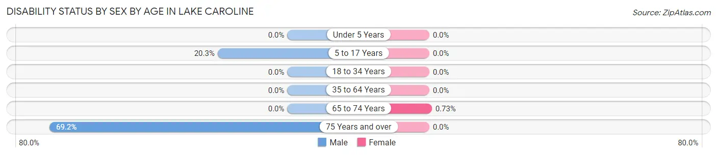 Disability Status by Sex by Age in Lake Caroline