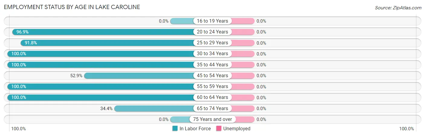 Employment Status by Age in Lake Caroline