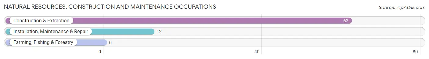 Natural Resources, Construction and Maintenance Occupations in Lake Holiday