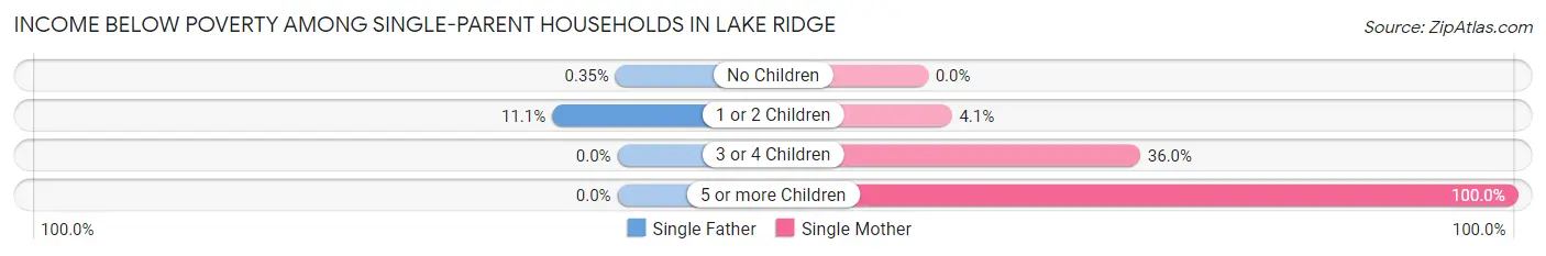 Income Below Poverty Among Single-Parent Households in Lake Ridge