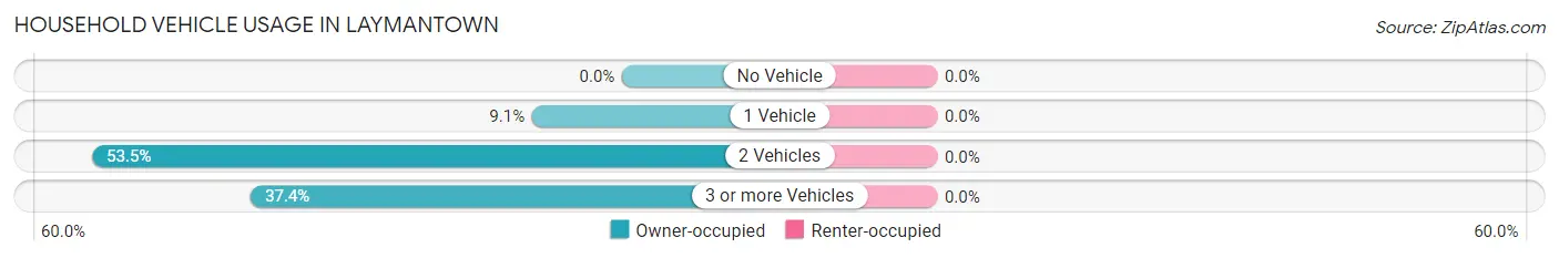 Household Vehicle Usage in Laymantown