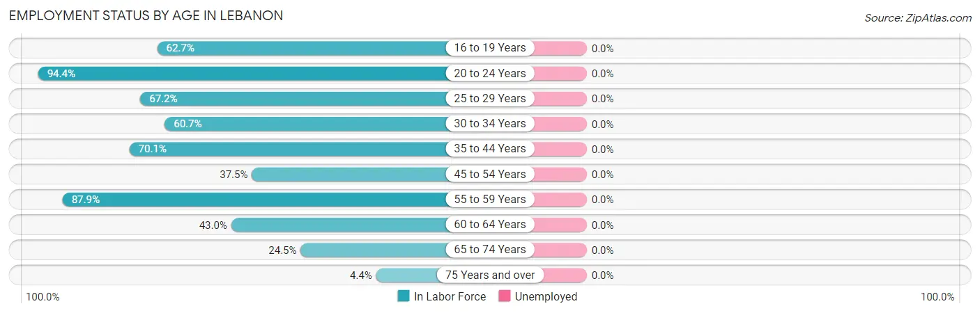 Employment Status by Age in Lebanon