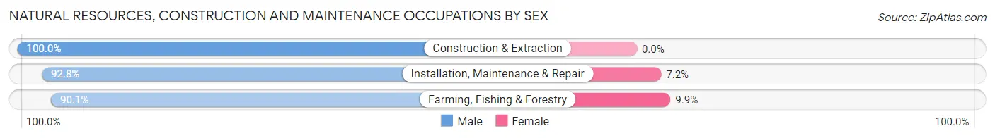 Natural Resources, Construction and Maintenance Occupations by Sex in Leesburg