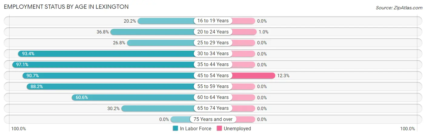 Employment Status by Age in Lexington