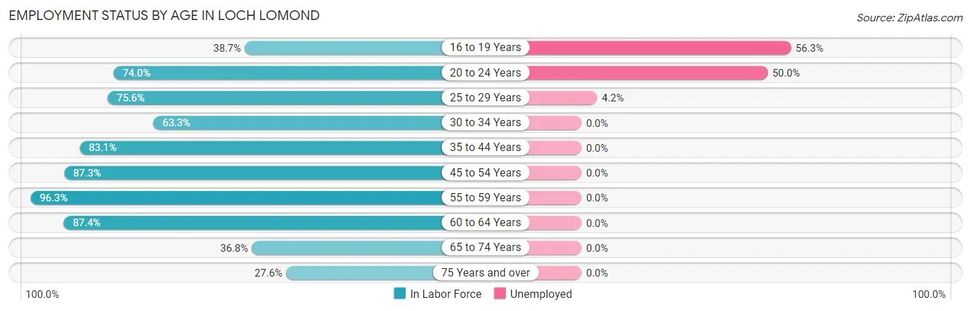 Employment Status by Age in Loch Lomond
