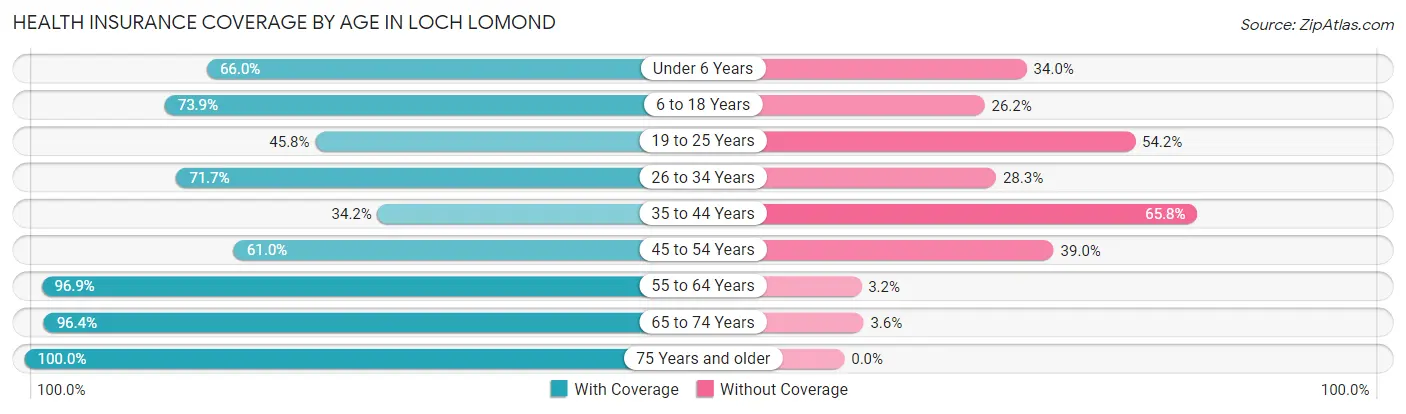 Health Insurance Coverage by Age in Loch Lomond