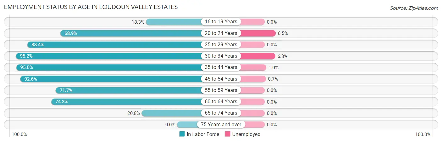 Employment Status by Age in Loudoun Valley Estates