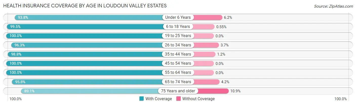 Health Insurance Coverage by Age in Loudoun Valley Estates