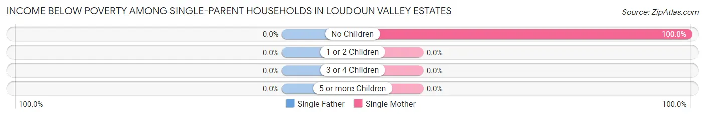 Income Below Poverty Among Single-Parent Households in Loudoun Valley Estates