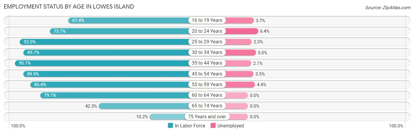 Employment Status by Age in Lowes Island