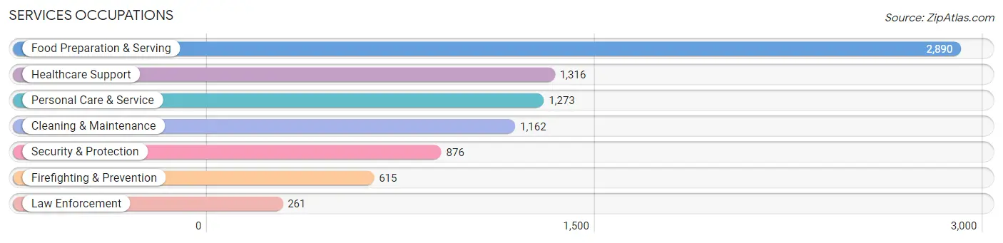 Services Occupations in Lynchburg