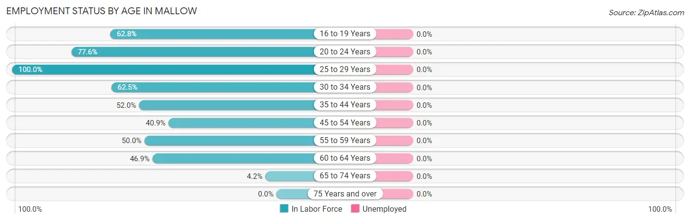 Employment Status by Age in Mallow